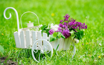 Картинка цветы сирень тележка трава