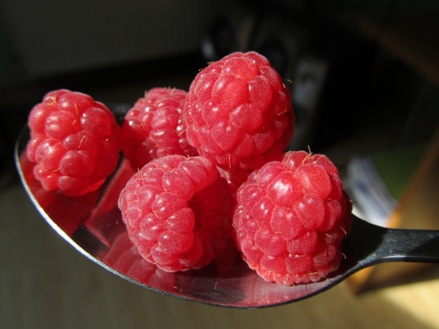 Обои картинки фото еда, малина, ягоды