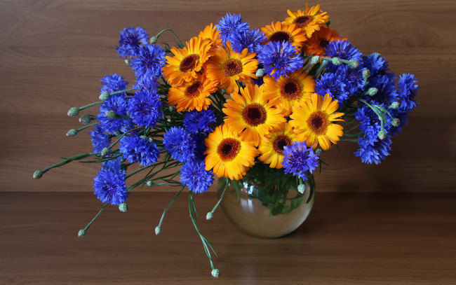 Обои картинки фото цветы, букеты,  композиции, васильки, герберы