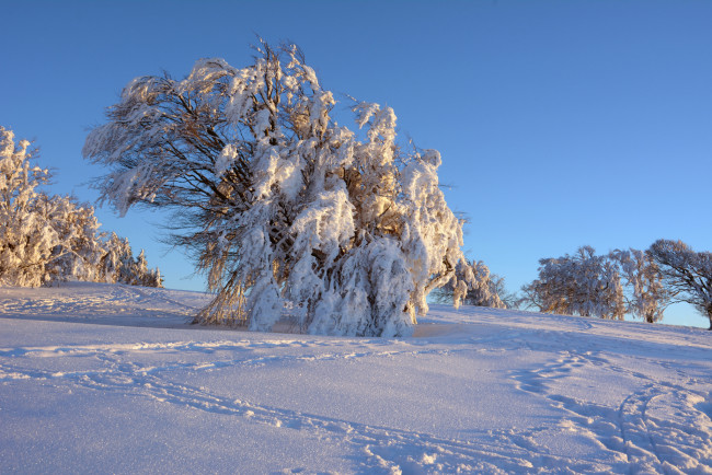 Обои картинки фото природа, зима, простор