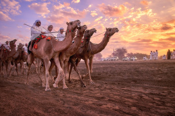 Картинка мужчины -+unsort пустыня