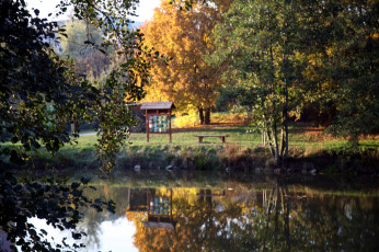 Картинка природа парк отражение