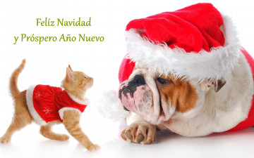 Картинка животные разные+вместе christmas