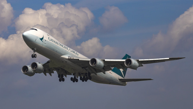 Обои картинки фото cargo 747-800, авиация, грузовые самолёты, авиалайнер