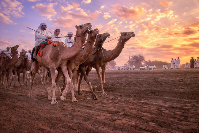 Обои картинки фото мужчины, - unsort, пустыня