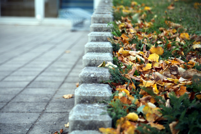 Обои картинки фото природа, листья, осень, листопад