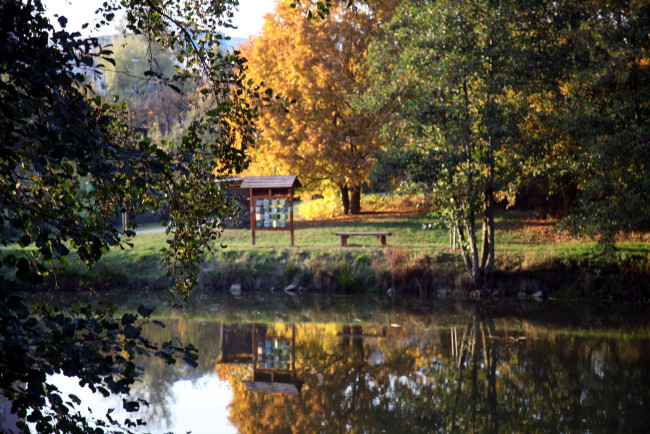 Обои картинки фото природа, парк, отражение