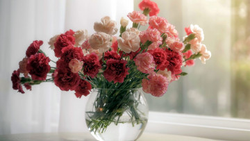 Картинка цветы гвоздики букет