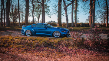Картинка автомобили mustang ford