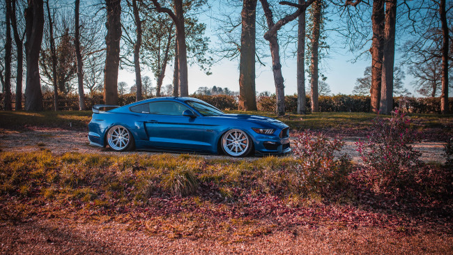 Обои картинки фото автомобили, mustang, ford