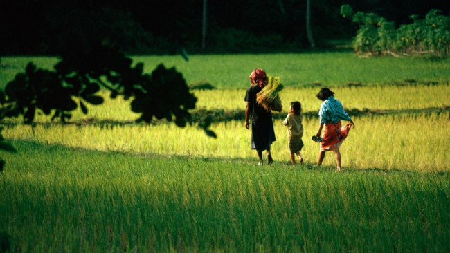 Обои картинки фото разное, люди, поля