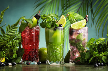 Картинка еда напитки +коктейль мята лимон коктейли ежевика