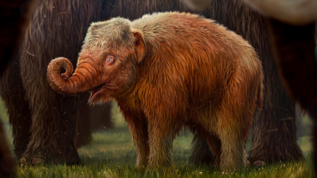 Обои картинки фото рисованное, животные,  сказочные,  мифические, нейросети, графика, нейроарт, ai, art, нейронные, сети, рисунки, нейро, искусство, мамонтенок