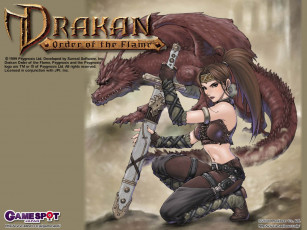 Картинка видео игры drakan order of the flame