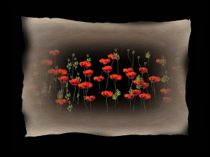 Картинка рисованные цветы