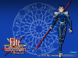 Картинка fate unlimited codes видео игры
