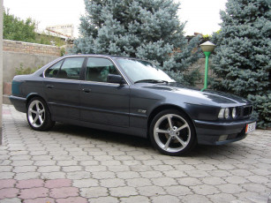 Картинка кант автомобили