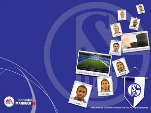 обоя видео, игры, fifa, manager, 09