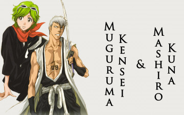 Картинка 110 лет назад аниме bleach