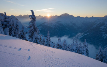 Картинка природа зима