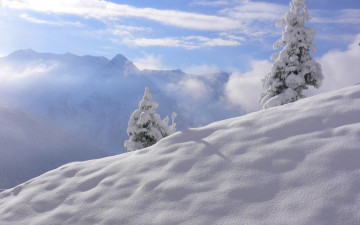 Картинка природа зима