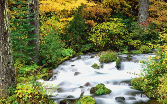 Обои картинки фото природа, реки, озера