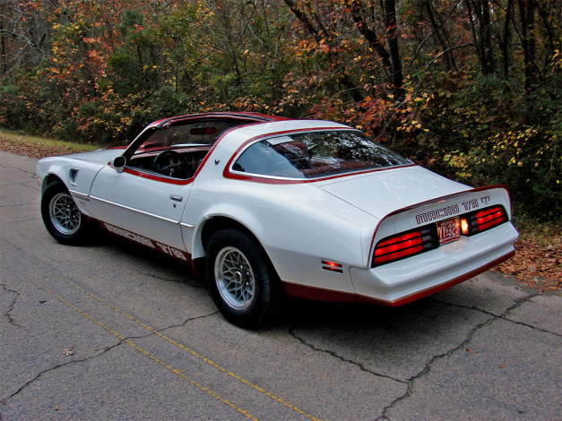 Обои картинки фото 1978, macho, trans, am, автомобили, pontiac