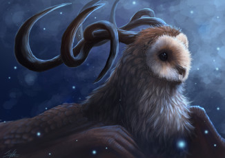 Картинка фэнтези существа сова рога