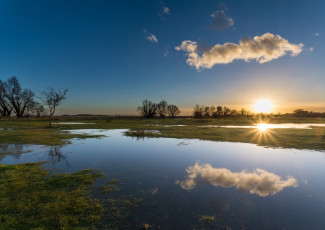 Картинка природа восходы закаты вода поле утро солнце