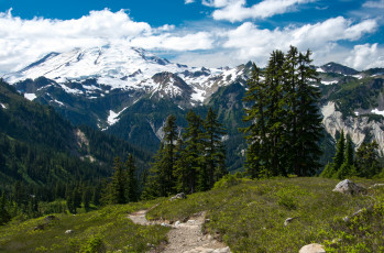 Картинка mount+baker-snoqualmie+national+forest+вашингтон+сша природа горы лес сша forest baker-snoqualmie mount вашингтон