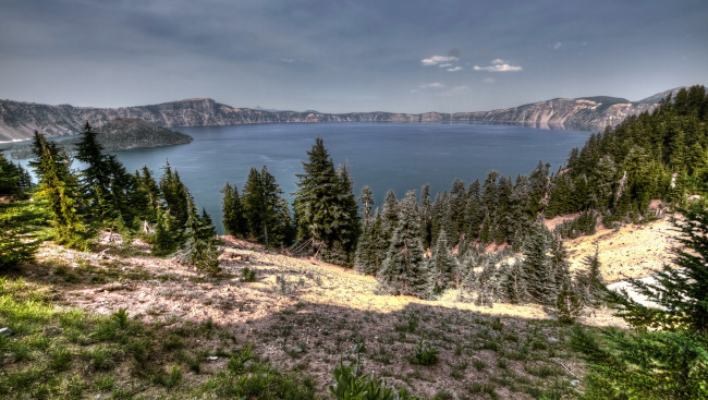 Обои картинки фото сша калифорния, природа, реки, озера, калифорния, сша, трава, лес, озеро