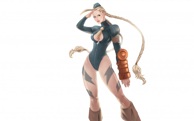 Обои картинки фото street fighter, видео игры, street, fighter, девушка, уличный, боец