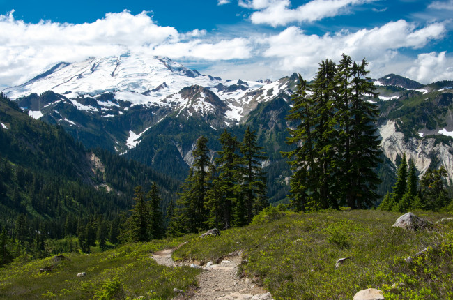 Обои картинки фото mount baker-snoqualmie national forest вашингтон сша, природа, горы, лес, сша, forest, baker-snoqualmie, mount, вашингтон