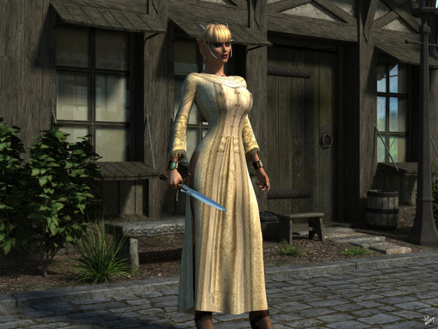 Обои картинки фото 3д графика, эльфы , elves, эльфийка, взгляд, фон, оружие