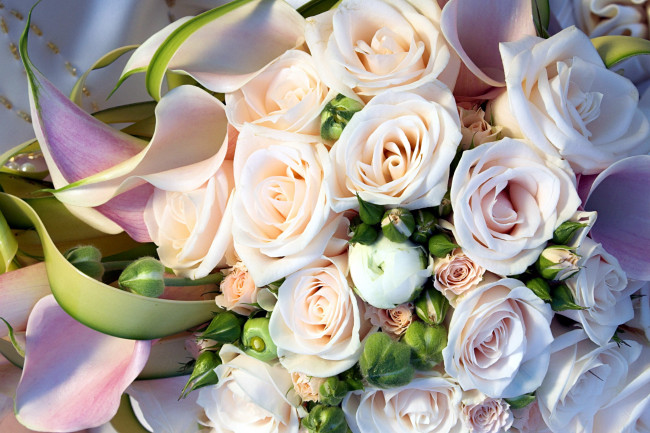 Обои картинки фото цветы, букеты,  композиции, бутоны, розы, каллы