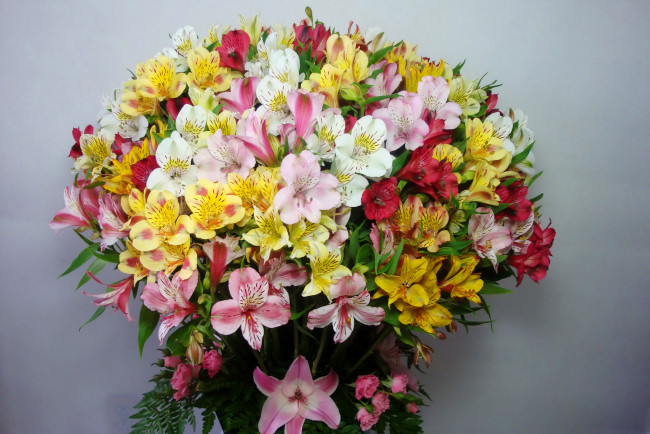 Обои картинки фото цветы, альстромерия, букет, альстромерии