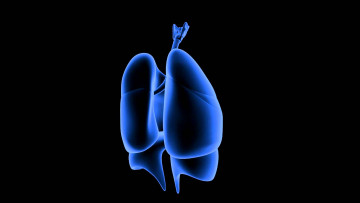 Картинка 3д+графика другое+ other цвета узор фон