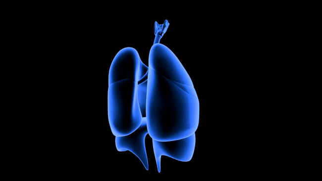 Обои картинки фото 3д графика, другое , other, цвета, узор, фон