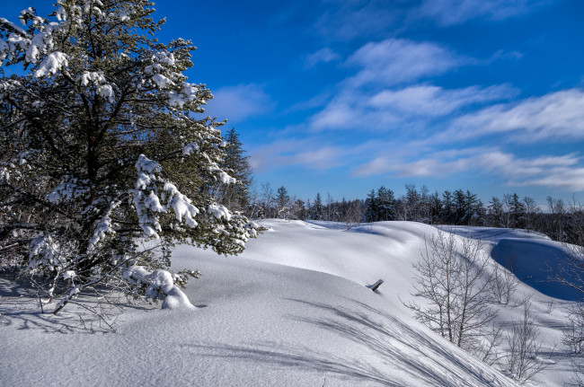 Обои картинки фото природа, зима, снег, лес