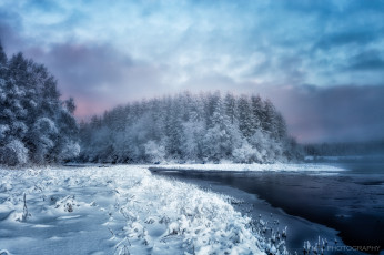 Картинка природа зима лес река