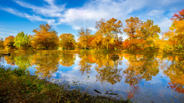 Картинка природа реки озера река лес