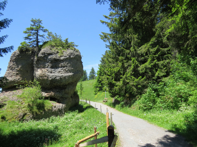 Обои картинки фото природа, дороги, лес, камень, дорога