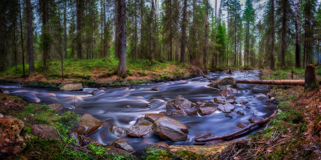 Обои картинки фото природа, реки, озера, лес, река