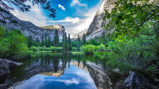 Обои картинки фото природа, реки, озера, река, лес