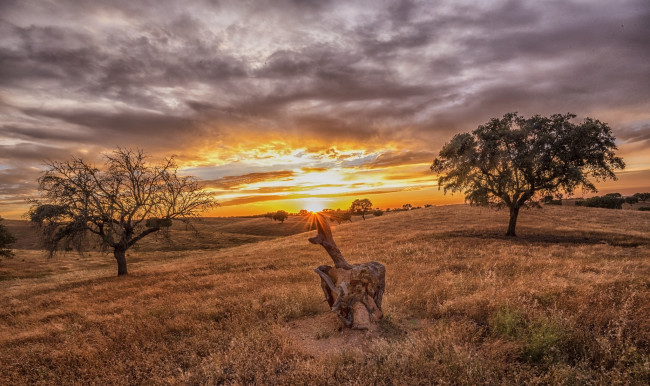 Обои картинки фото природа, восходы, закаты, рассвет