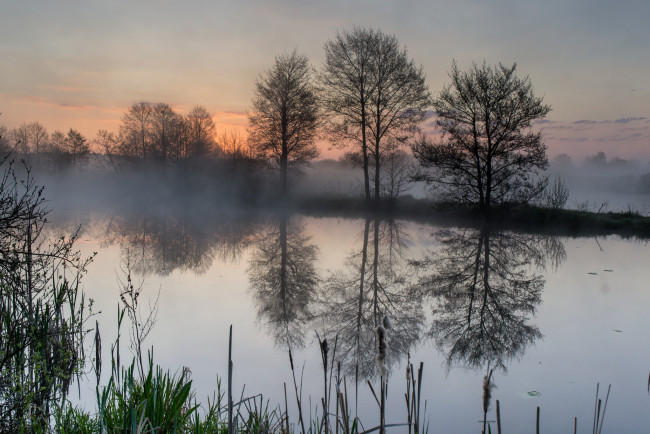 Обои картинки фото природа, реки, озера, лес, река