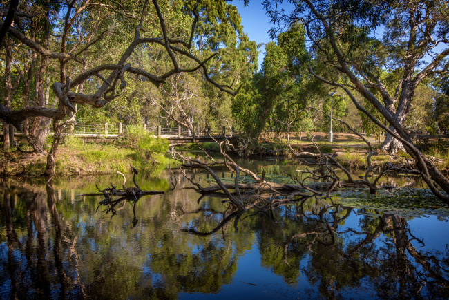 Обои картинки фото природа, реки, озера, река, лес