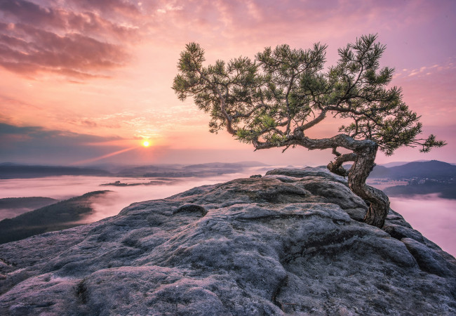 Обои картинки фото природа, пейзажи, простор