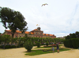 Картинка барселона города барселона+ испания здание птица люди растения