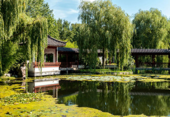 Картинка природа парк сад японский